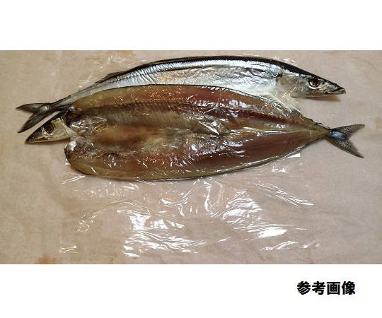灰干セロファン #300 230×300mm 1冊(500枚入) 透明なセロファンが整然と積まれた状態で、薄い色合いが際立つ。