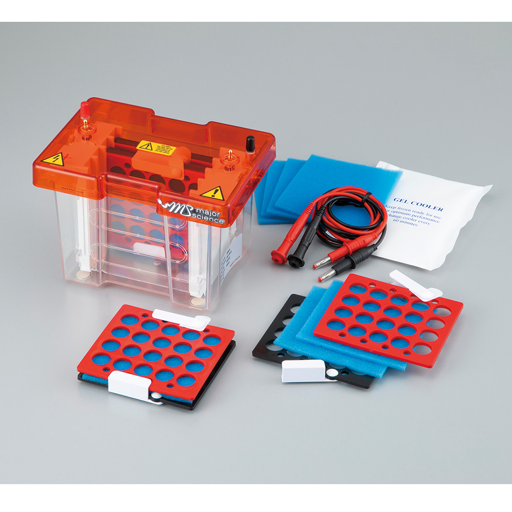 ブロッティング装置