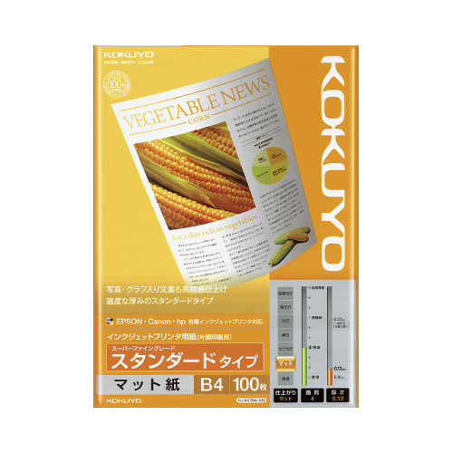 ＩＪＰ用紙　ＳＦＧ　スタンダード　Ｂ４　１００枚画像