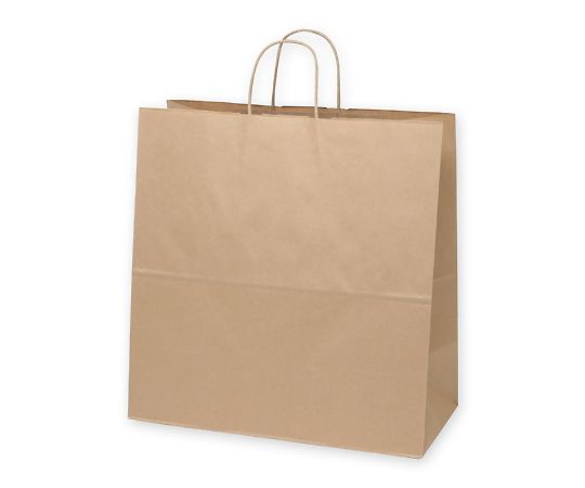 手提げ紙袋　25チャームバッグ　45-1　未晒無地　50枚画像