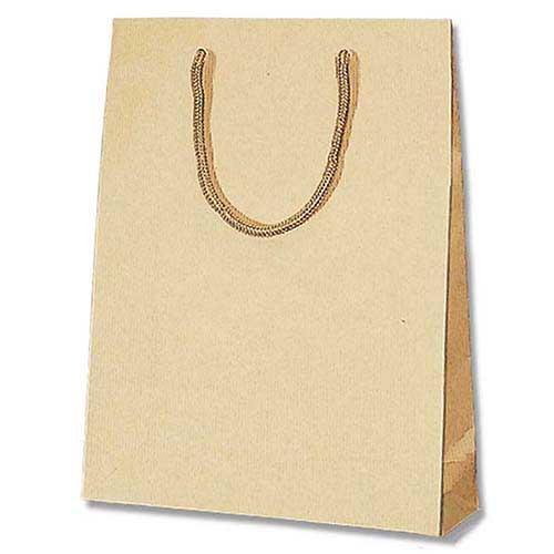手提げ紙袋（クラフト・ポリエステル紐・幅170×マチ85×高さ230mm）画像