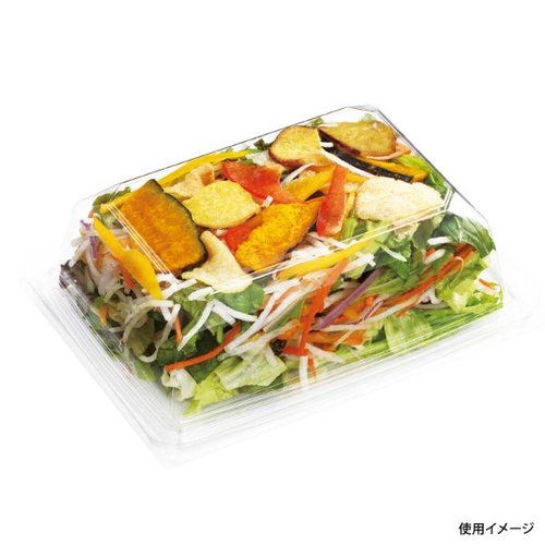 惣菜容器 C-APG ベジマグ20-15 (60 身 中央化学 透明な容器に盛り付けられた色鮮やしいサラダが見える状態