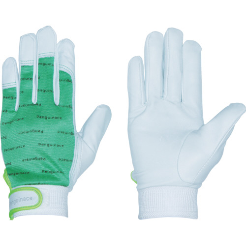 ｴﾚｶｰ (ｸﾞﾘｰﾝ･Lｻｲｽﾞ) 1双画像