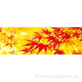 ラウンドシート もみじ（写真）画像