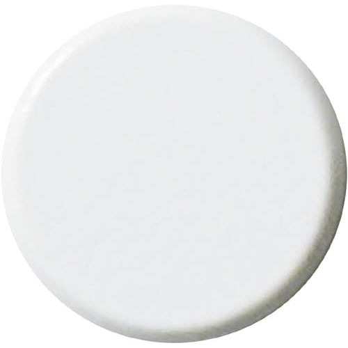 両面強力カラーマグネット　１８ｍｍ　白　１０個入画像