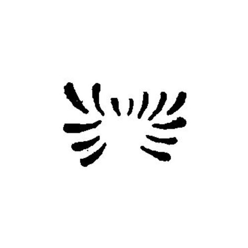 調理道具 焼印 菊の花 340062画像