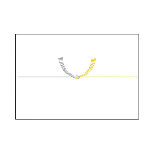 のし紙　Ｂ５判　黄水引　京画像