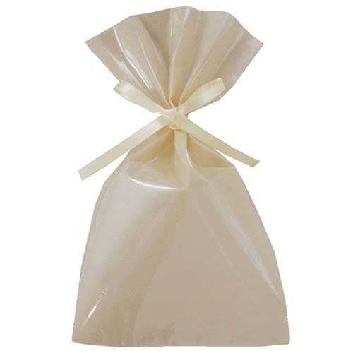 ソフトバッグクリア 2穴リボン巾着 S4 ベージュ画像