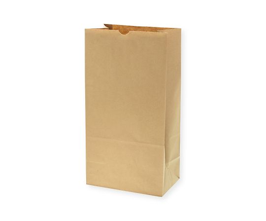 角底袋　No.20　未晒無地　100枚画像