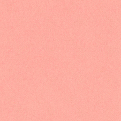 ﾆｭｰｶﾗｰR 四つ切 ｻｰﾓﾝ 1ﾊﾟｯｸ(100枚)画像