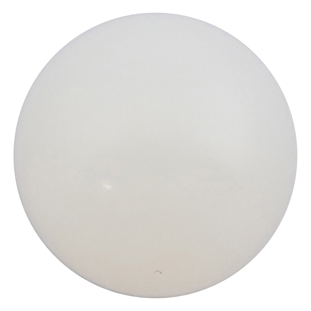 ナイロン球　φ9.5mm　50個入画像