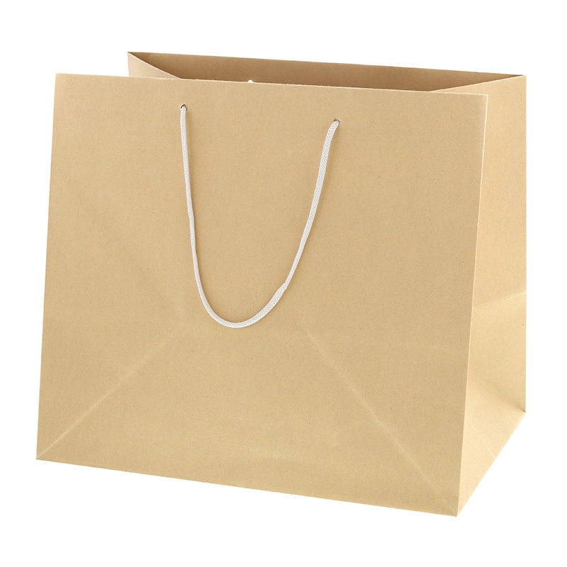 バンブーペーパーバッグ　３７－２６画像