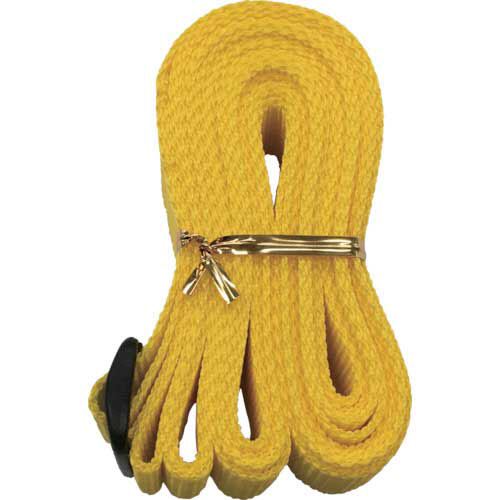 ﾍﾞﾙﾄ 結束ﾍﾞﾙﾄ(ﾄﾗｲｸﾞﾗｲﾄﾞ) 25mm巾×3m ｲｴﾛｰ 1本画像