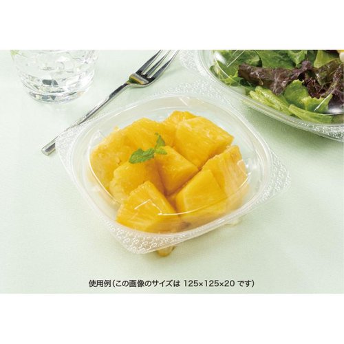 バイオ ハクリア 14-OCA [ケース販売] パッケージ全体が正面から見える状態で、外箱に鮮やかなデザインが施されている。