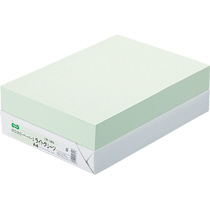 αｴｺｶﾗｰﾍﾟｰﾊﾟｰII A4 ﾗｲﾄｸﾞﾘｰﾝ 1冊(500枚)