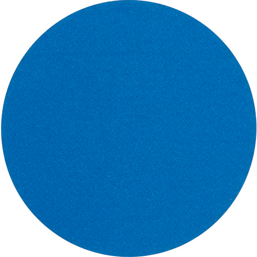 ﾌﾞﾙｰﾃﾞｨｽｸ 穴なし 外径125mm #40 1箱(75枚)画像