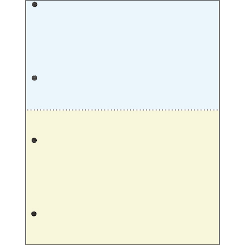 汎用ﾏﾙﾁﾀｲﾌﾟﾌﾟﾘﾝﾀ帳票 ｶﾗｰ用紙 A4 2分割 4穴 1箱(2500枚:500枚x5冊)画像
