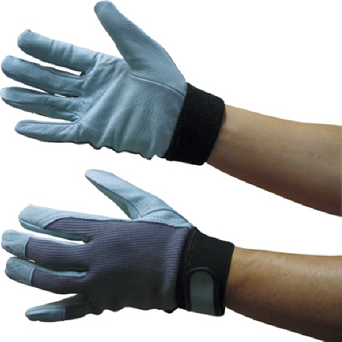 ﾎｰｹﾝ ｼﾞｰﾎﾞｳｽﾞ 1双画像