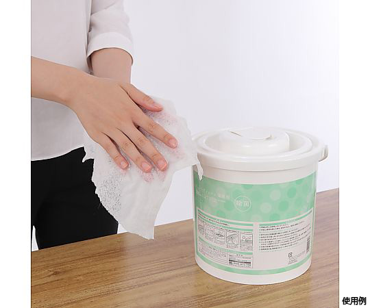 ノンアルコール除菌ウェットティッシュ業務用 本体 1ケース（300枚×6個入） 前面に向いた、開封されたパッケージと商品が並んでいる様子