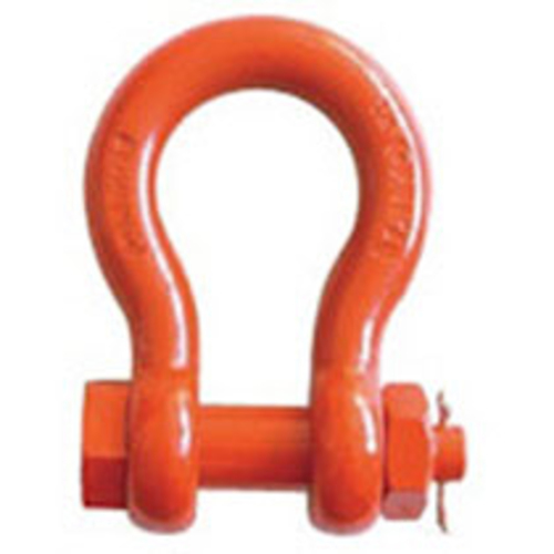 ｽｰﾊﾟｰｱﾛｲｼｬｯｸﾙ 1個画像