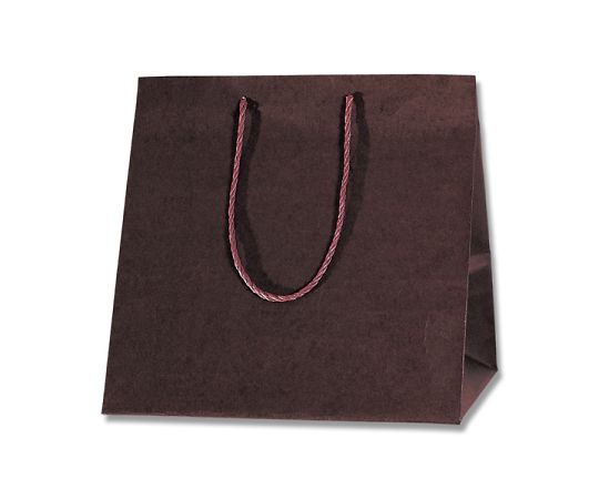 HEIKO 紙袋 カラーアレンジバッグ M 焦茶 10枚画像