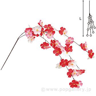 大梅3本シダレ画像