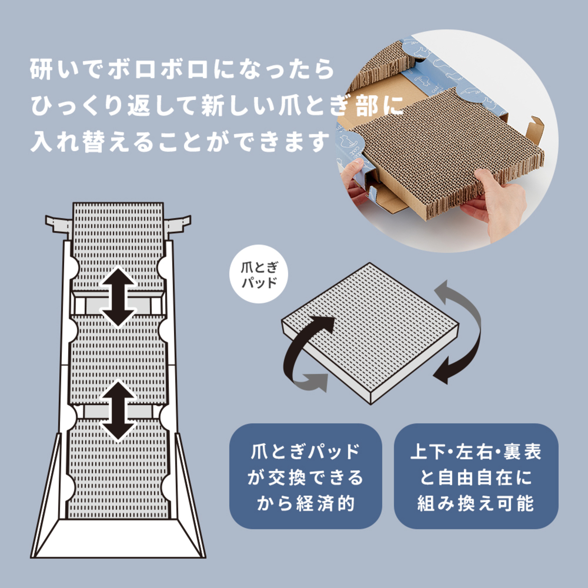 背中のびのび縦型爪とぎ 円柱型の爪とぎが斜めに設置され、猫が後ろ足で立ち上がりながら爪を研いでいる様子