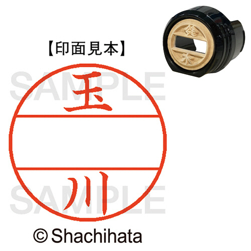 ﾃﾞｰﾀｰﾈｰﾑEX12号 ﾏｽﾀｰ部(印面) 既製 玉川 1個画像