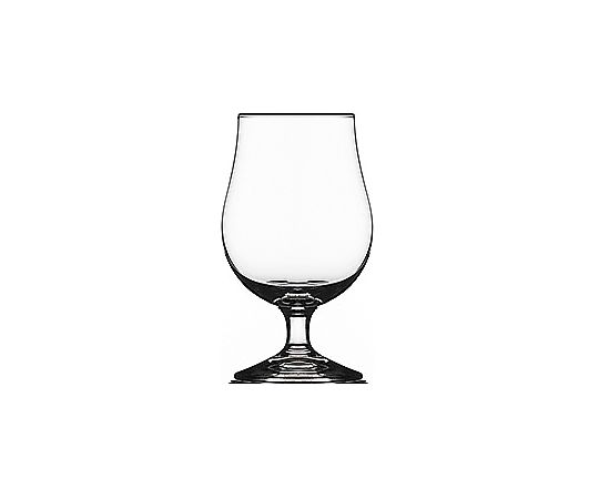 ベルリン 19 ビール 6個入