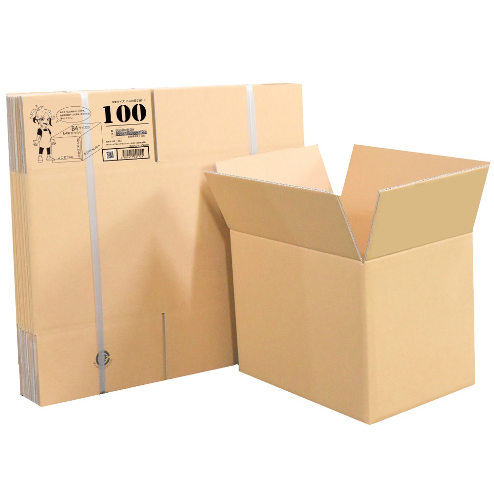 段ボール 100サイズ 20枚入画像