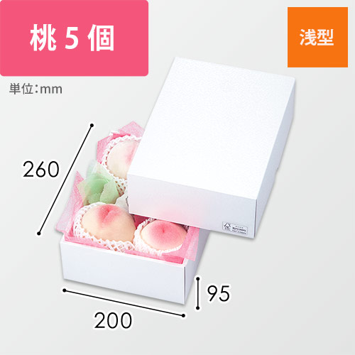 パール２２　ＦＳ画像