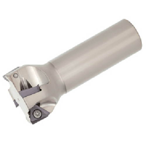 TAC柄付ﾌﾗｲｽ 1個画像