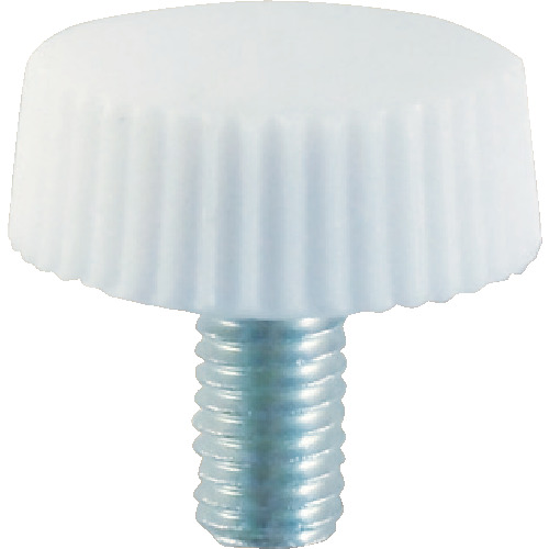 化粧ﾋﾞｽ NO.3 白 M5×22 1ﾊﾟｯｸ(15個)画像