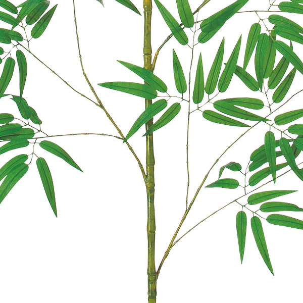 270cm七夕笹画像