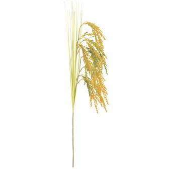 稲穂スプレー画像