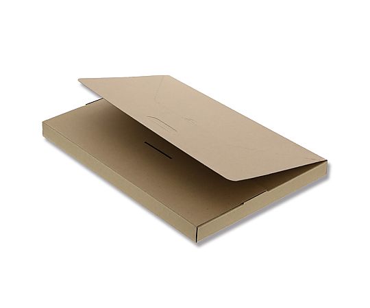箱　発送用段ボール　10枚