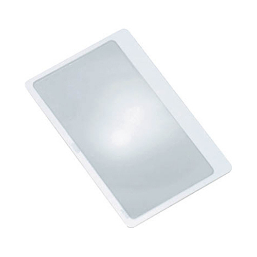 ｼｰﾄﾚﾝｽﾞ 1個画像