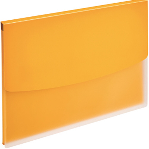 ﾎﾙﾀﾞｰﾌｧｲﾙ(ﾋﾞｼﾞｶﾙ) ﾌﾀ付 A4ﾖｺ 背幅16mm ｲｴﾛｰ 1冊画像