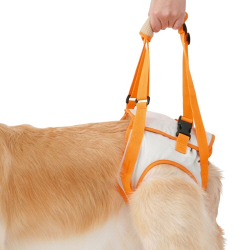 zuttone 老犬介護用 歩行補助ﾊｰﾈｽ 後足用K 3L 1個画像