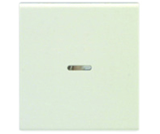 操作板　2個用（マークなし）　表示灯付画像