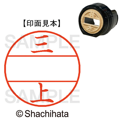 ﾃﾞｰﾀｰﾈｰﾑEX12号 ﾏｽﾀｰ部(印面) 既製 三上 1個画像