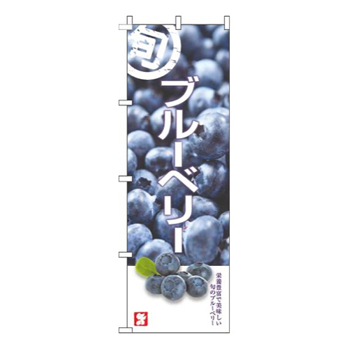 ブルーベリー旬写真画像