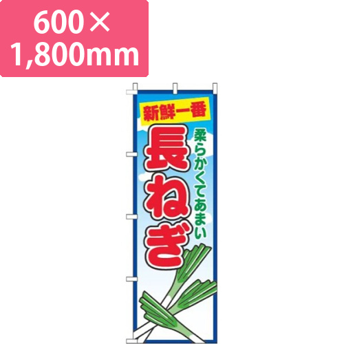 長ねぎ青空丸画像