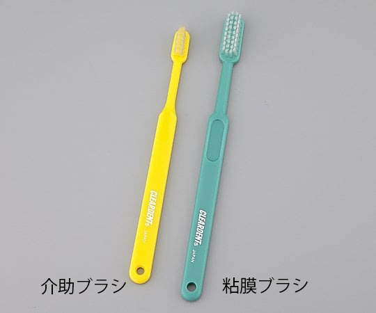 歯ブラシ　介助ブラシ画像