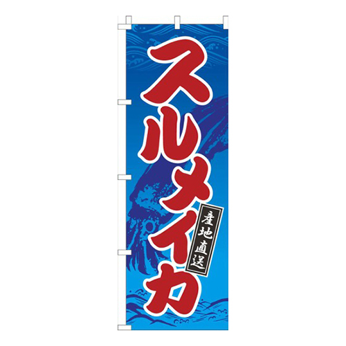 スルメイカ 青波画像