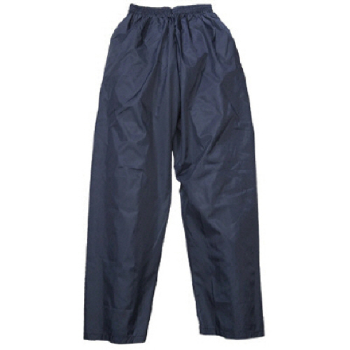 ﾅｲﾛﾝﾊﾟﾝﾂ ﾈｲﾋﾞｰ L 1着画像