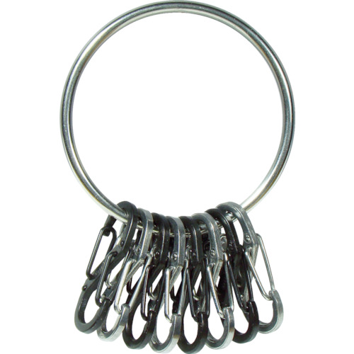 ﾋﾞｯｸﾞﾘﾝｸﾞｽﾁｰﾙ 1個画像