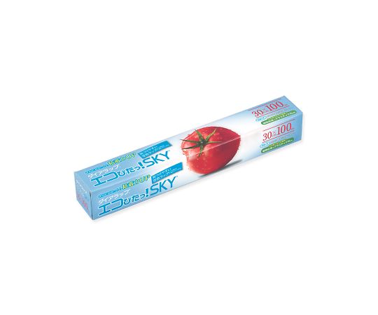 ダイアラップエコぴたっ！SKY　30×100画像