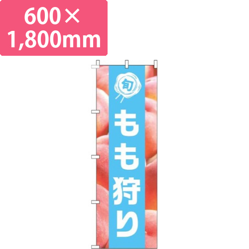 もも狩り写真水色帯画像