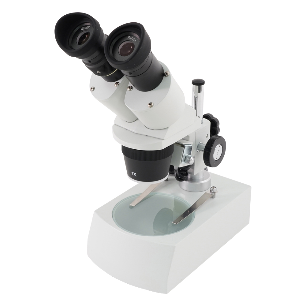 双眼実体顕微鏡画像